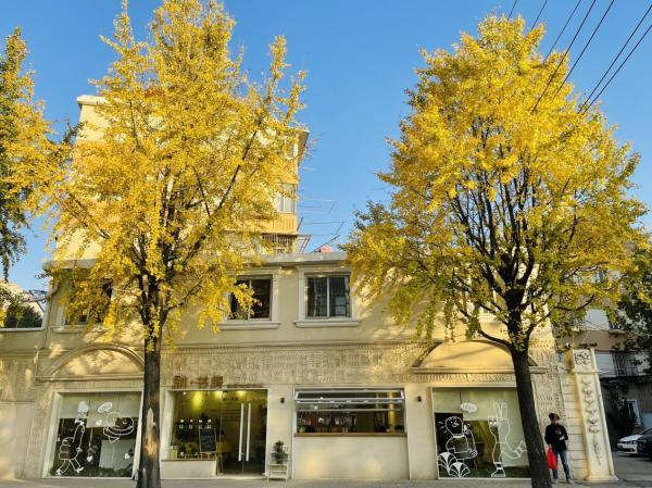 中国最新自然探索之旅,寻找内心的桃花源之旅