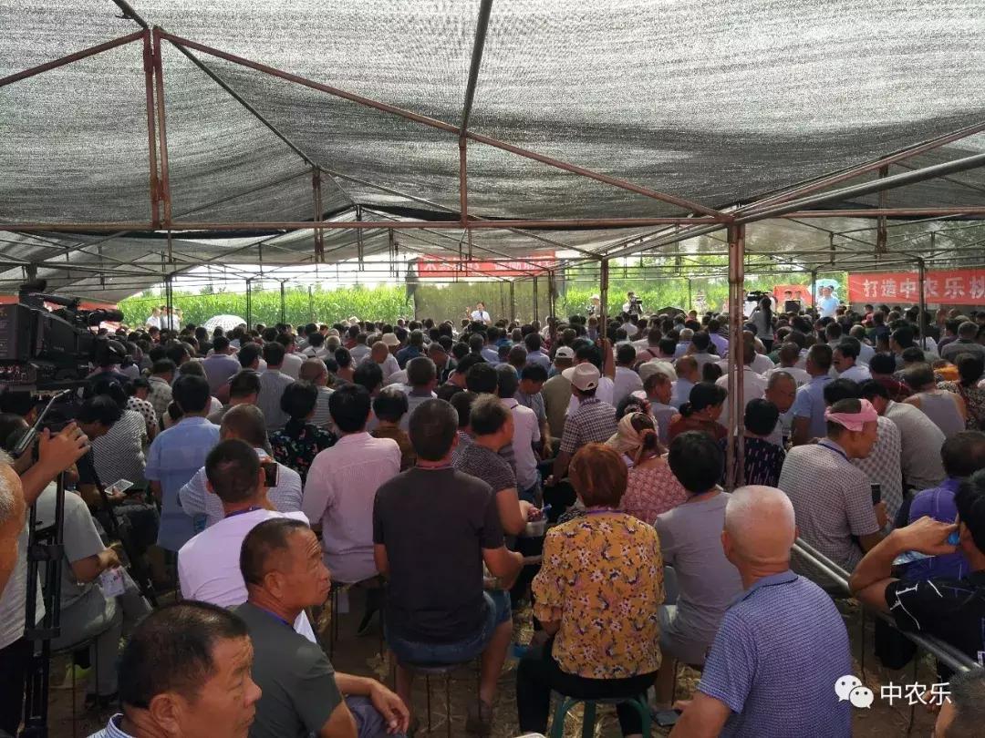 中国最新自然探索之旅,寻找内心的桃花源之旅