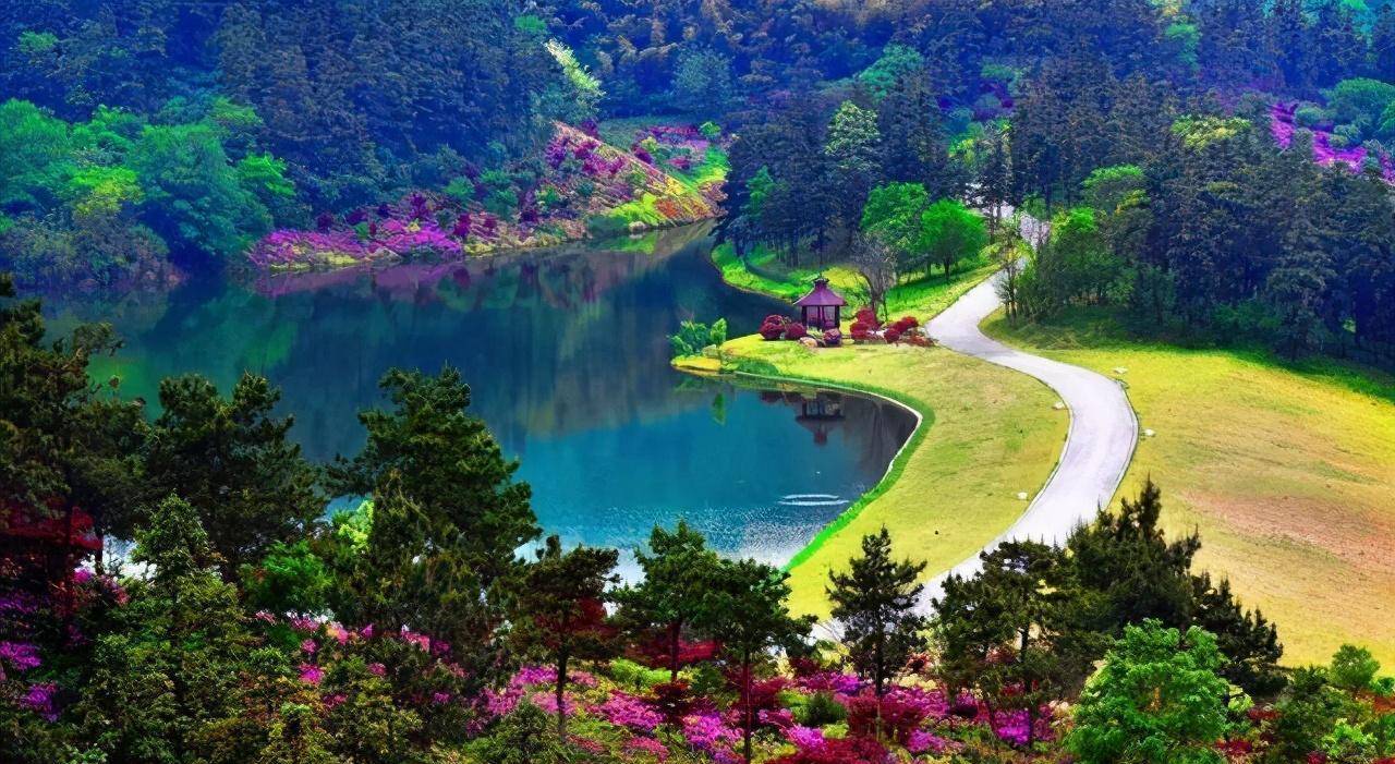 最新标准，轻松探索自然美景之旅