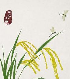 探索自然美景之旅,追寻内心的平和与宁静最新福利启程