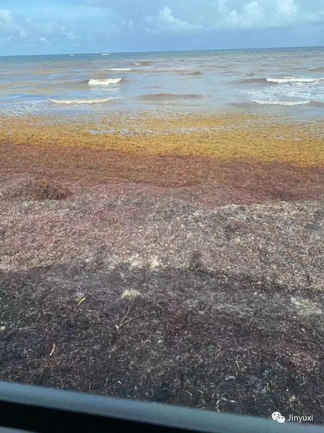 自然美景探索之旅，最新鼓舞人心的旅行经历分享