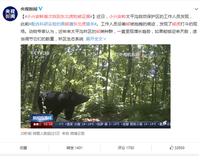 最新IE11带你轻松探索自然美景，寻找内心平和之旅