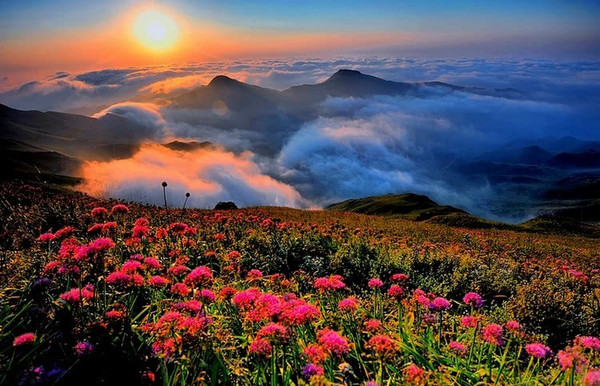 2017最新藏歌,自然美景之旅,寻找内心的平和之地