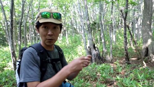 自然探索之旅，最新野外直播与学习自信的萌芽之路