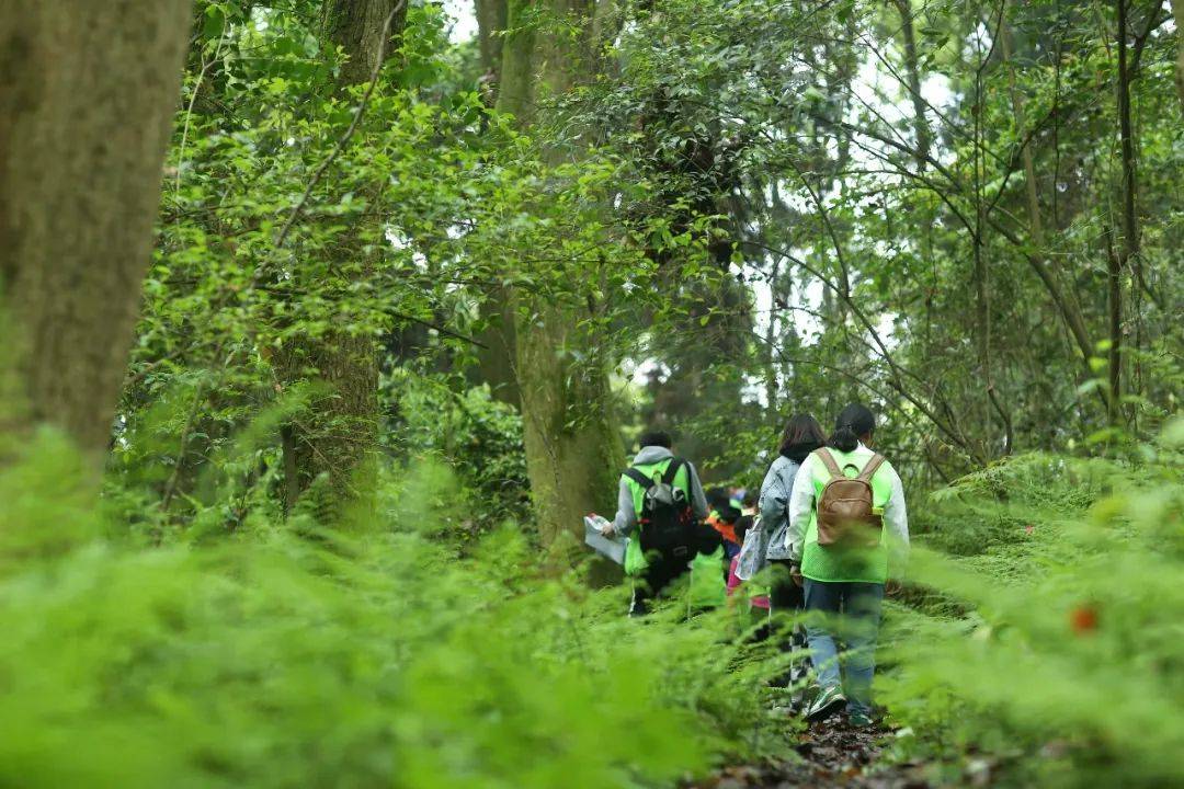 自然探索之旅,最新野外直播与学习自信的萌芽之路