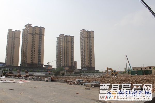 曹县金座最新动态更新