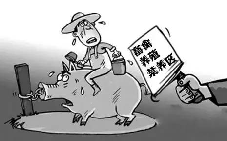 禁养区政策调整最新动态及未来展望