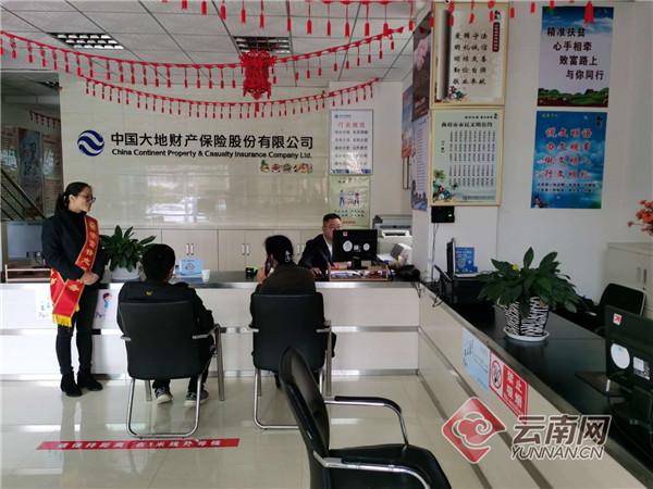 马龙二手房最新信息,数据导向计划_经典版23.353