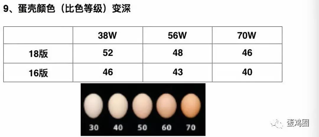 S2B2X电商体系 第248页