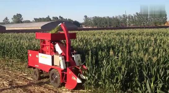 最新型玉米收割机,轻松探索自然美景之旅