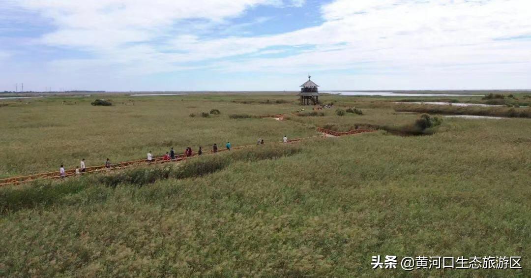 人才网最新招聘信息58,启程探索自然美景之旅