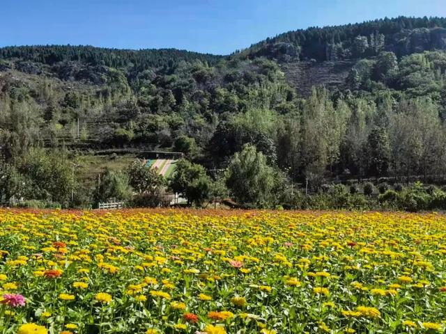 一汽富维与自然美景的邂逅,探寻内心宁静之旅的最新消息