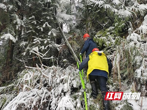 宁乡高新区最新动态速递,关注最新消息📢🚀