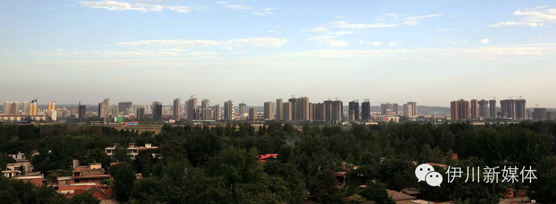 伊川最新动态与观点论述