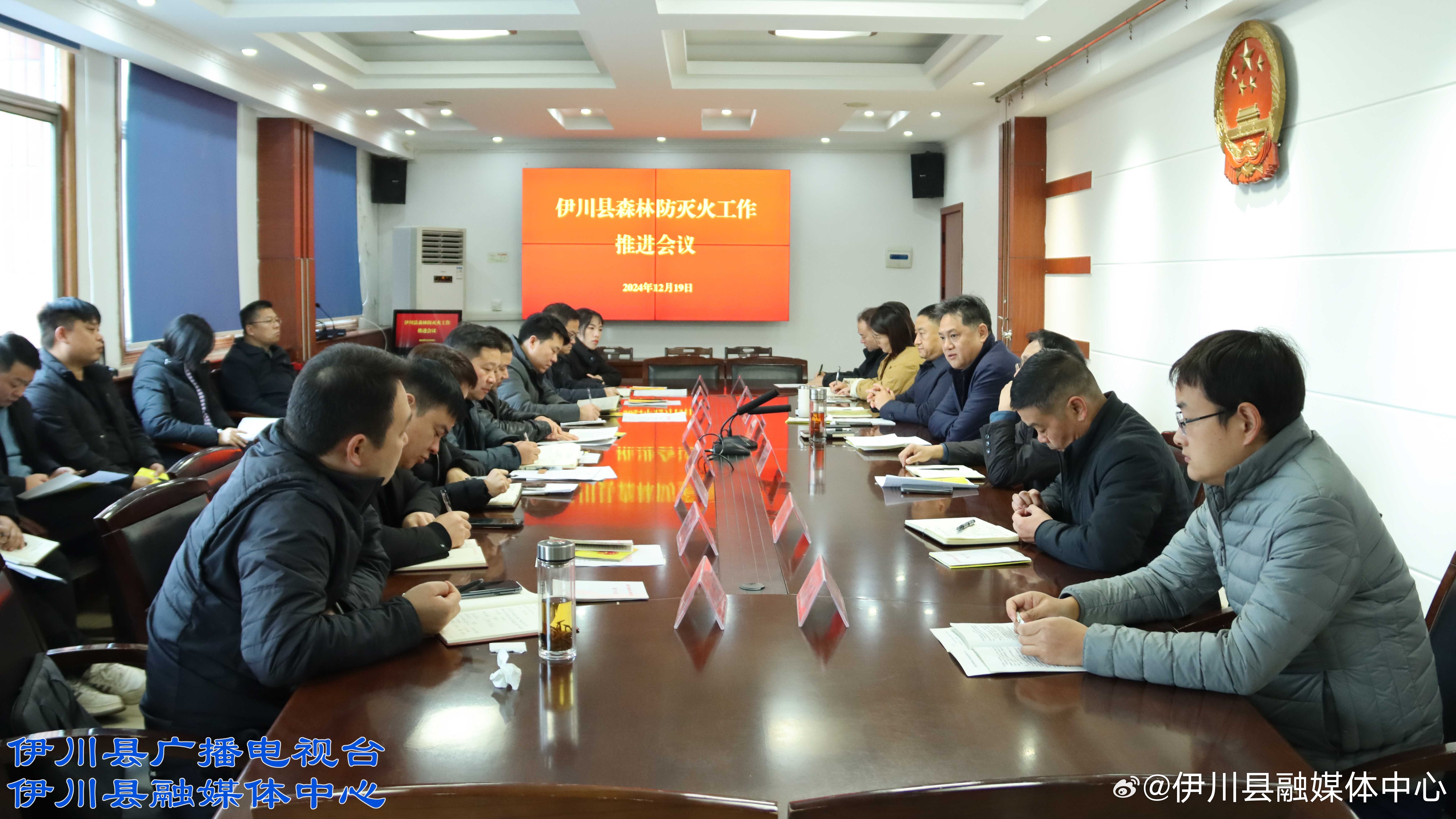 伊川最新动态与观点论述