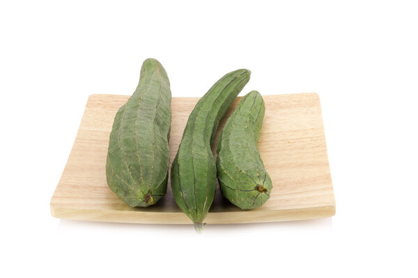 丝瓜官网最新资讯