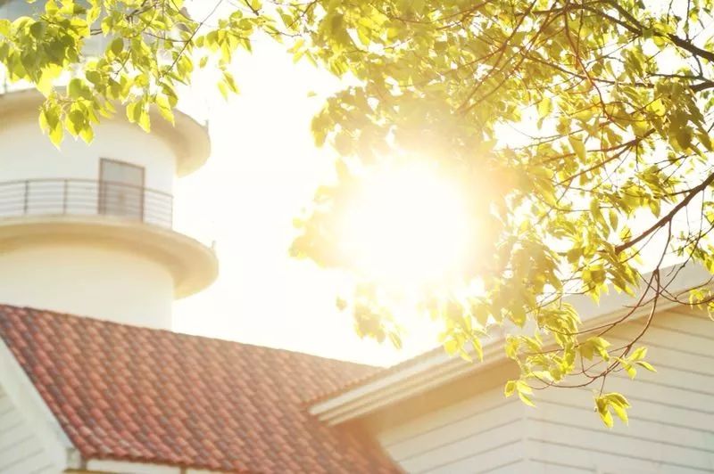 晨间美好图集,唤醒美好一天的视觉盛宴