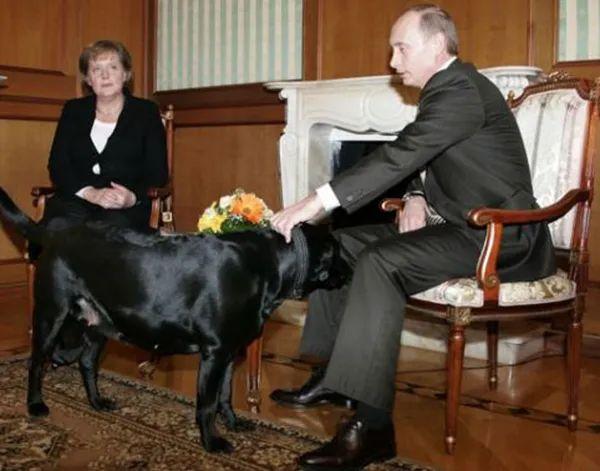 退伍军人最新动态,铁血柔情的新篇章开启