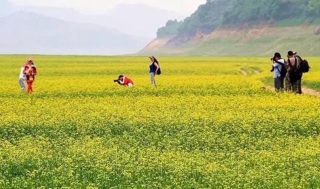 刘强东最新探索之旅,自然美景中的心灵寻觅与宁静体验