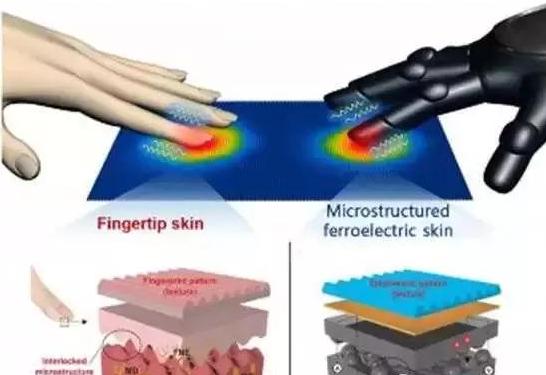 最新最强大脑,解锁智慧之门,探索无限潜能的奥秘!