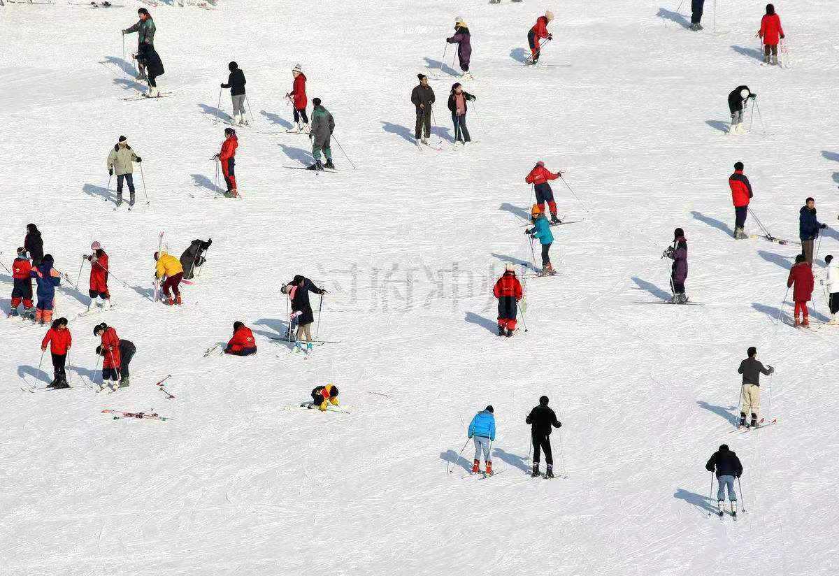 最新动漫下载,时代印记与青年狂欢的追逐