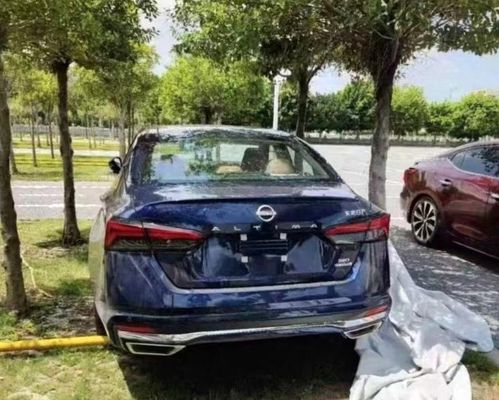 最新款天籁,与自然美景的邂逅,内心的平和之旅