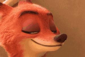 🌟非诚勿扰最新,探寻真实的情感世界🌟