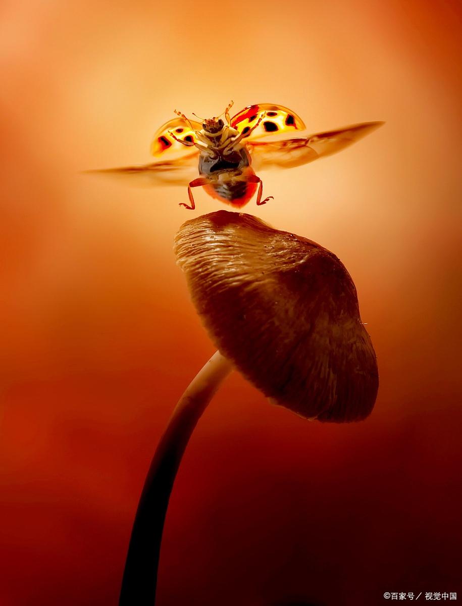 揭秘宇宙最新动态,探索未知宇宙的神秘面纱!🚀✨