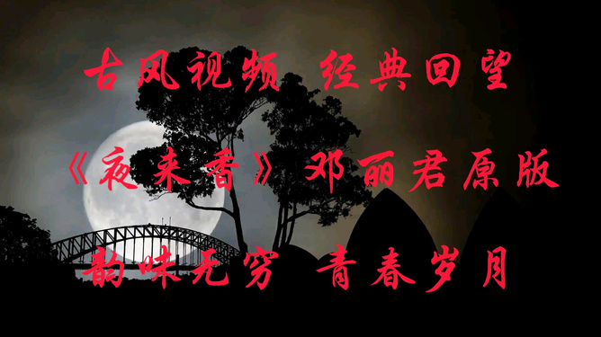 最新好歌，小巷深处的音乐宝藏探秘