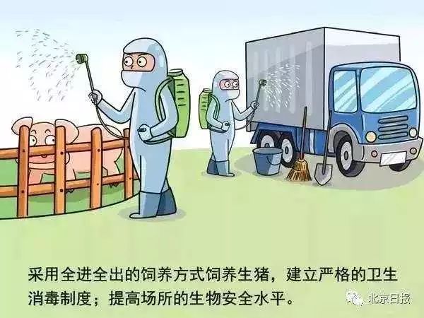 S2B2X电商体系 第83页