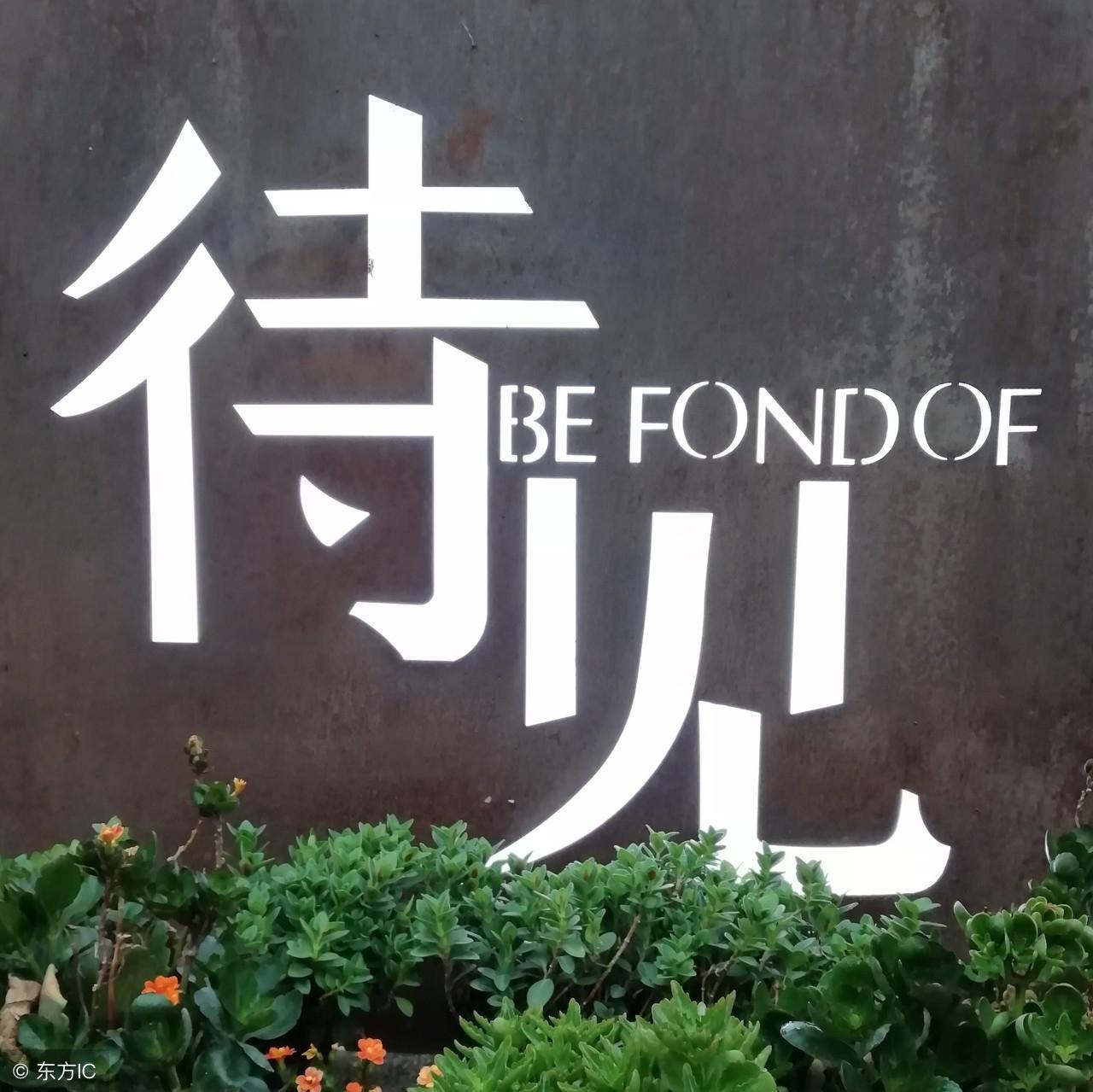 最新歌曲与美景之旅,追寻内心的平和与喜悦