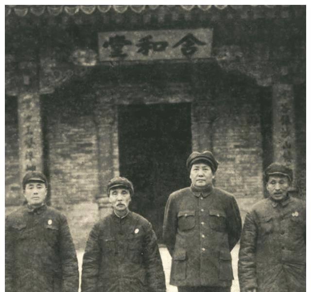 中国招聘网最新招聘,时代脉搏与人才交响的交汇点