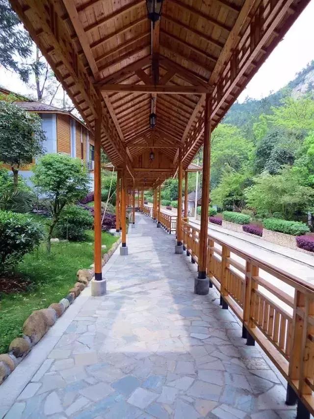 国考最新消息揭秘，奇妙旅程开启