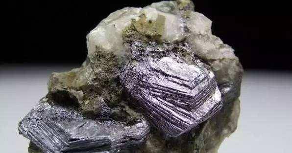 钼光下的日常故事,友情与家的温暖