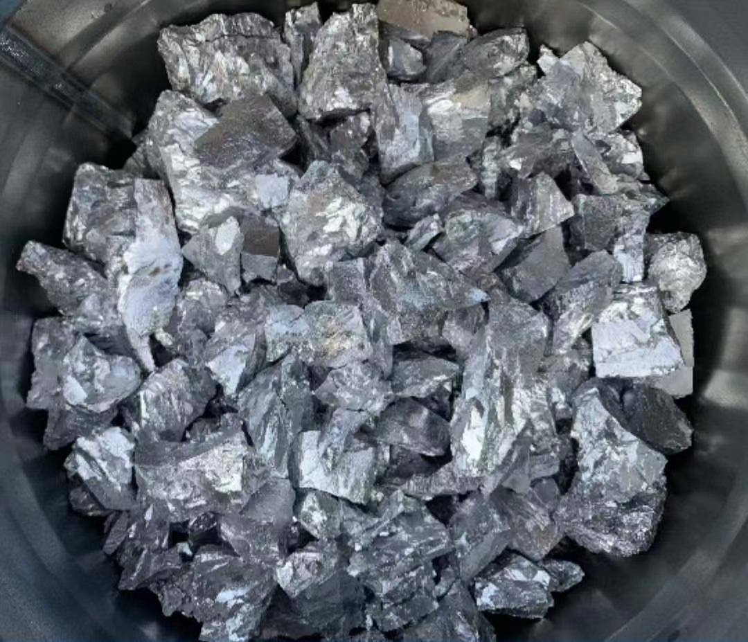 钼光下的日常故事,友情与家的温暖