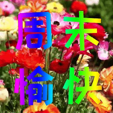 公众号微商城 第31页