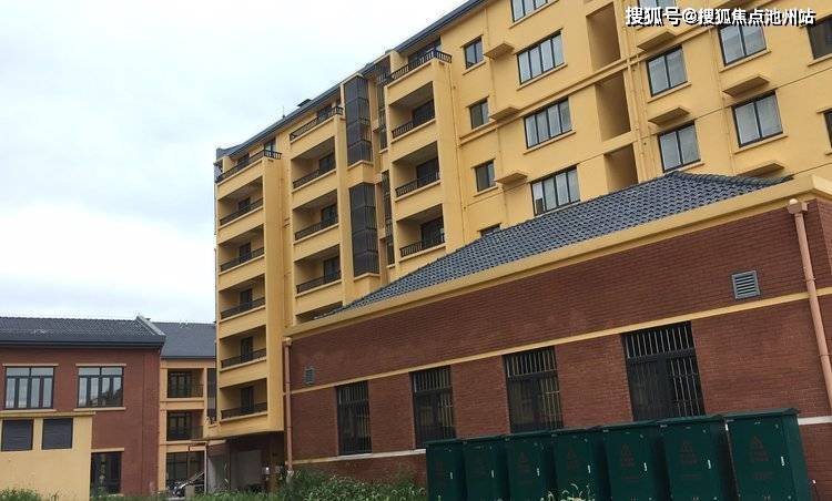 比利时最新消息深度解析与报道