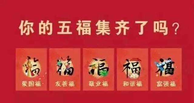 五福FC小队最新篇章，日常奇妙与温馨故事回顾
